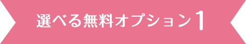 選べる無料オプション1